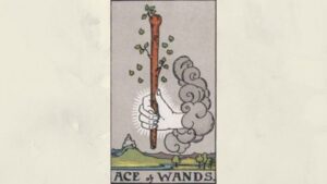 Lời khuyên đến từ lá Ace of wands
