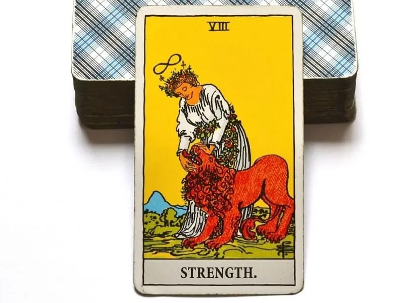 The Strength – Giải mã ý nghĩa sức mạnh nội tâm của lá Tarot