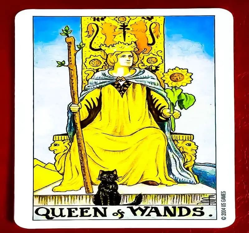 Queen of Wands – Tìm hiểu về sức mạnh nội tại của lá bài hậu