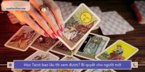 Học Tarot bao lâu thì xem được? Bí quyết cho người mới